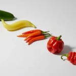Verschiedene Paprika und Chilischoten auf weißem Hintergrund.
