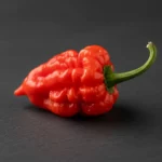 Rote Paprika mit unregelmäßiger Oberfläche auf dunklem Hintergrund.